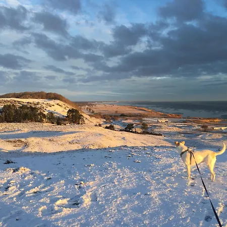 Rustic House In Nature Storvorde