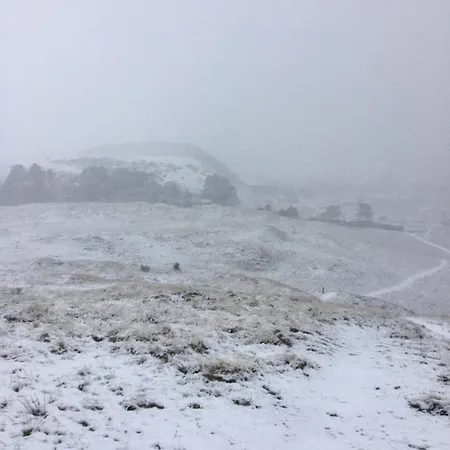 Rustic House In Nature Casa vacanze